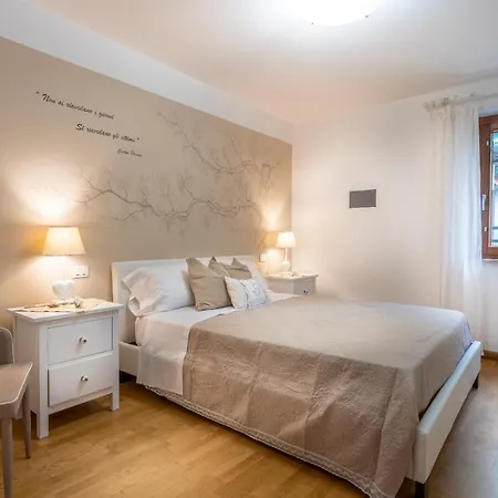 Picolit Lovely Flat *